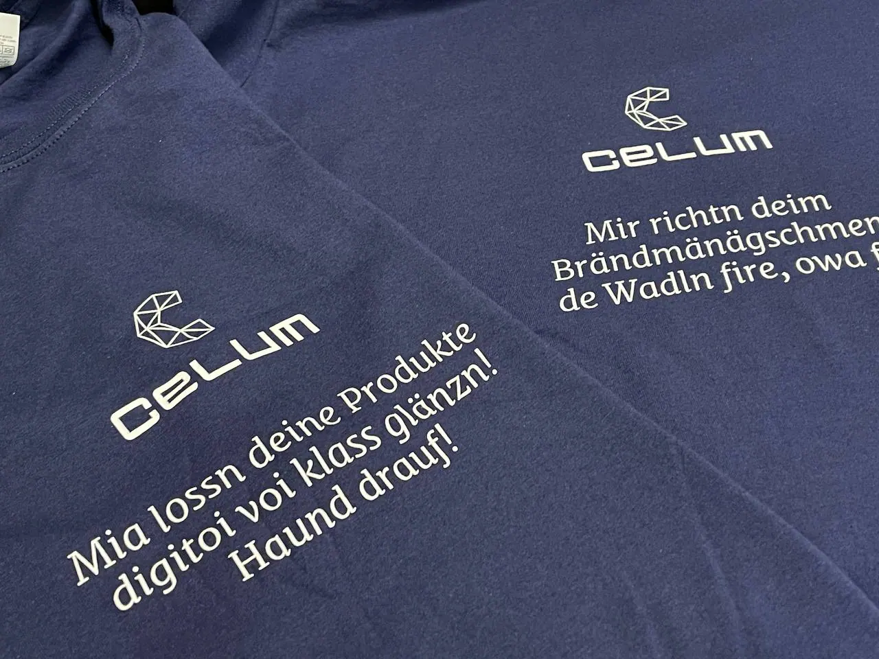 Hoodies with Company Logo Printed in Vienna